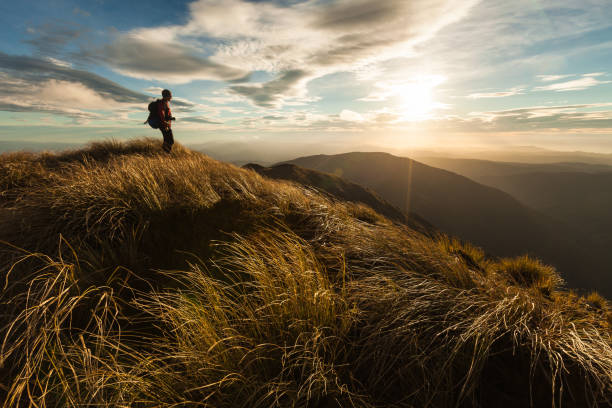 istock Hiker standing on a hill top, Tararua Forest Park 1336075416