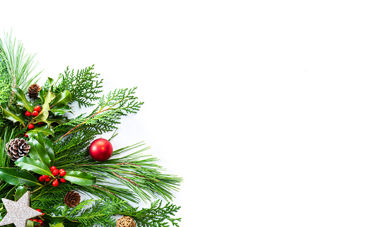 Christmas banner with green fir tree branches, mistletoe and red baubles decoration on white background. The composition is at the left of an horizontal frame leaving useful copy space for text and/or logo.