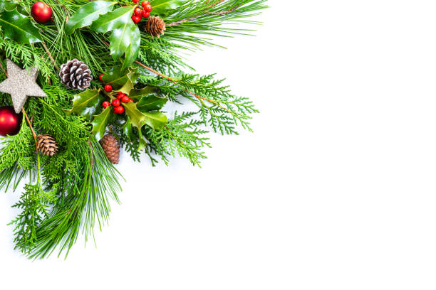 Christmas green decoration background on white. Copy space