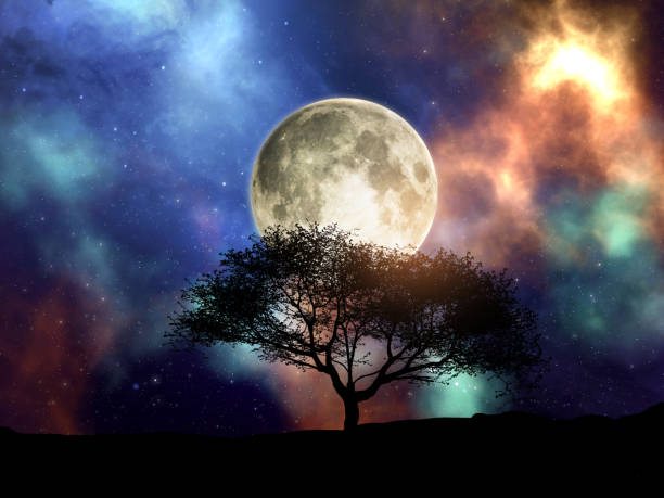 istock 3D silhouette of a tree against a space sky with moon 1336077070