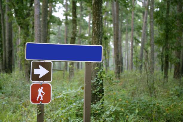 istock Blue traffic sign with copy space in the green forest 1336081188
