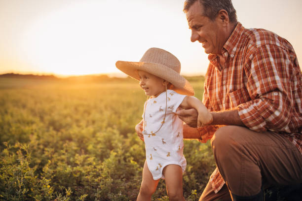 istock Senior farmer and grandson on a meadow 1336082169