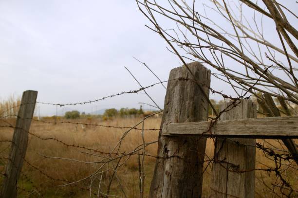 состаренный ватный деревянный старый забор - weatered стоковые фото и изображения