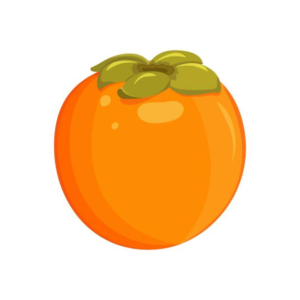 ilustrações de stock, clip art, desenhos animados e ícones de persimmon oriental with leaves close-up on a white background. - persimmon