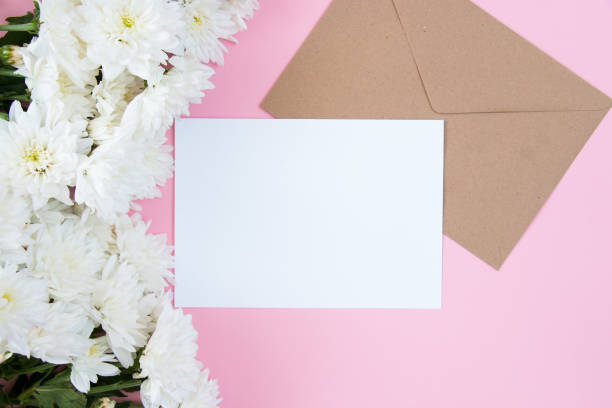 istock White flowers on a pink pastel background. Festive floral concept with clean text space. Flat lay. View from above. 1336087443