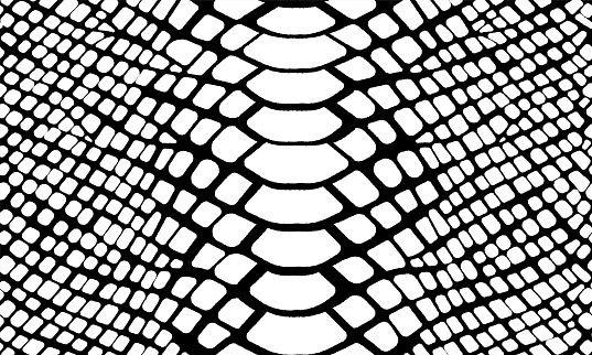 Trendy snake skin vector seamless pattern. Hand drawn wild animal skin, black and white repeat reptile texture for fashion python print design, fabric, textile, background, wallpaper.