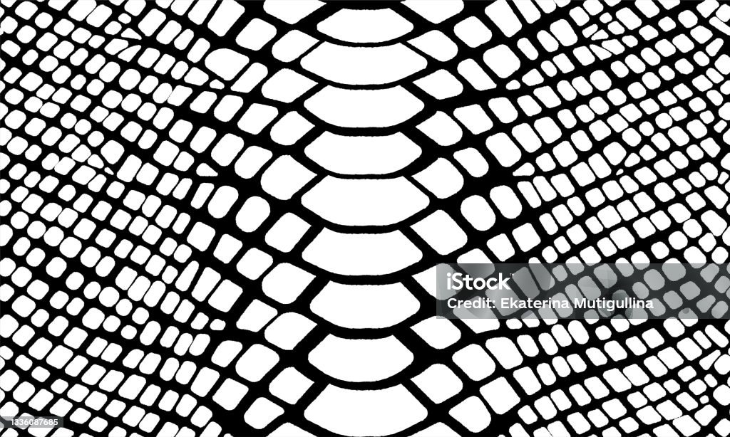 Trendy Snake Skin Vector Seamless Pattern Hand Drawn Wild Animal Skin Black  And White Repeat Reptile Texture For Fashion Python Print Design Fabric  Textile Background Wallpaper Stock Illustration - Download Image Now -