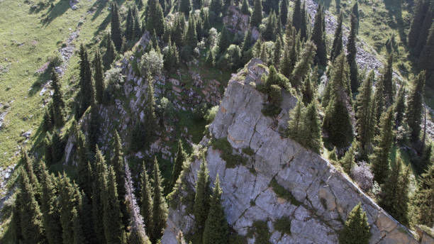 una roca alta en medio del bosque en las montañas - canyon rock mountain cliff fotografías e imágenes de stock
