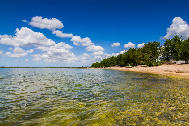 istock Lonely beach with crystal clear water on sunny day 1336092940