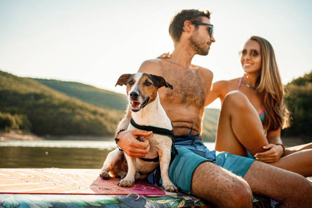 istock Happy Couple Paddle Boarding at Sunset with dog next to them 1336093180
