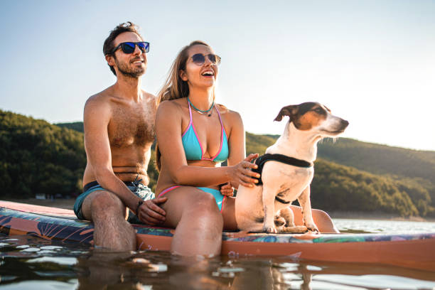 istock Caucasian Couple Paddle Boarding at Sunset with dog next to them 1336093214