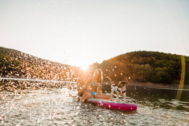 istock Happy Couple Paddle Boarding at Sunset with dog next to them 1336093583