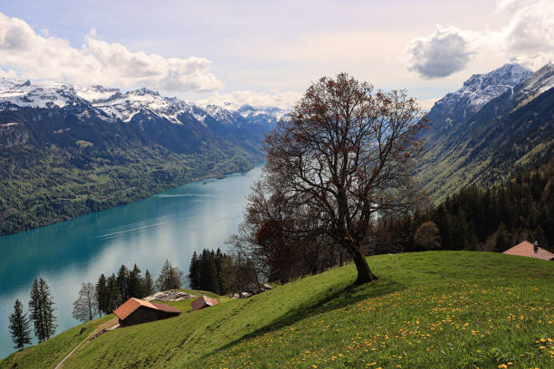 istock Beautiful Swiss Landscape 1336095289