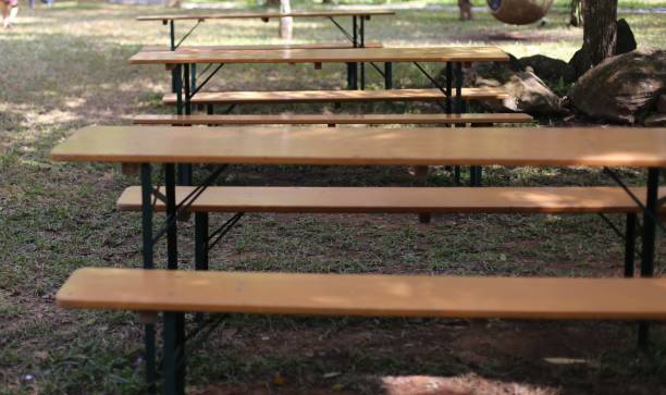 istock wooden table in the park with blurred background and foreground 1336096646