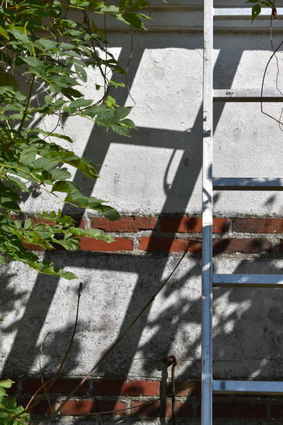 istock Part of a ladder and it`s shadow. 1336097378