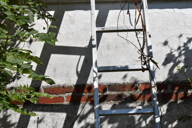 istock A part of a ladder and it`s shadow. 1336098082