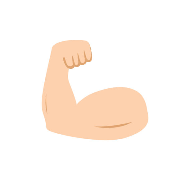 ilustrações de stock, clip art, desenhos animados e ícones de arm muscle. emoji of strong bicep. emoticon of strength in hand. icon of power of protein for man. flex muscle of arm. exercise in gym for health. logo of fitness, workout, bodybuilder, sport. vector - muscle build