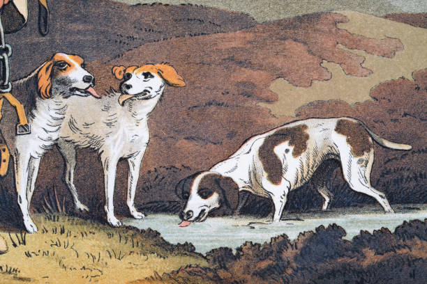 High resolution detail from the The Costume of Yorkshire, by George Walker, 1814, The dog breaker. Hunting dogs drinking from pool on Yorkshire Moors, early 19th Century English Art
