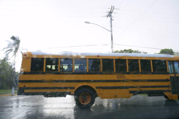 strada in movimento sfocata con scuolabus gialla, tempesta uragano - school bus defocused education bus foto e immagini stock