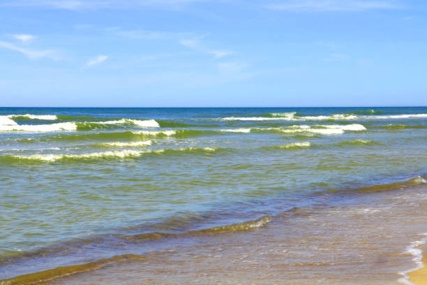 istock Beautiful waves roll ashore on a sunny day. 1336103431