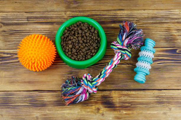 Dog toys and feed for dogs in green plastic bowl on wooden background. Top view. Dog care concept Dog toys and feed for dogs in green plastic bowl on wooden background. Top view. Dog care concept hunting decoy photos stock pictures, royalty-free photos & images