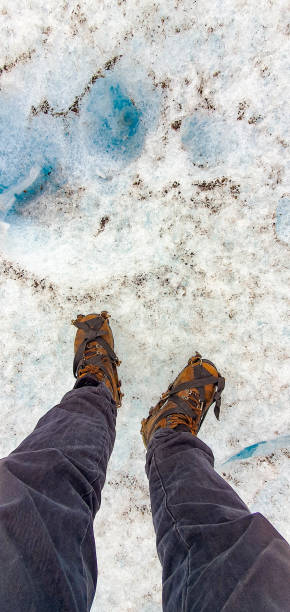 istock Photos  of  nature 1336105035
