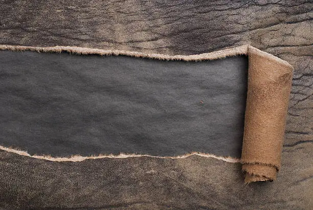 Photo of A piece of torn, worn out leather