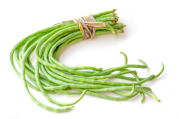 bundle of fresh long beans (Vigna unguiculata subsp. sesquipedalis) isolated on a white background