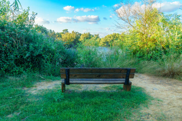 istock Bench, overlooking a pond, wetland nature reserve En Afek 1336106454