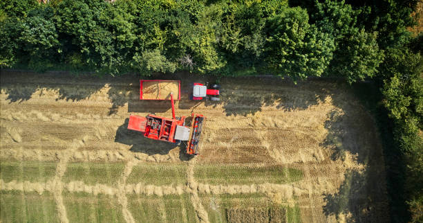istock Red combine harvester in field delivering the crop 1336110471