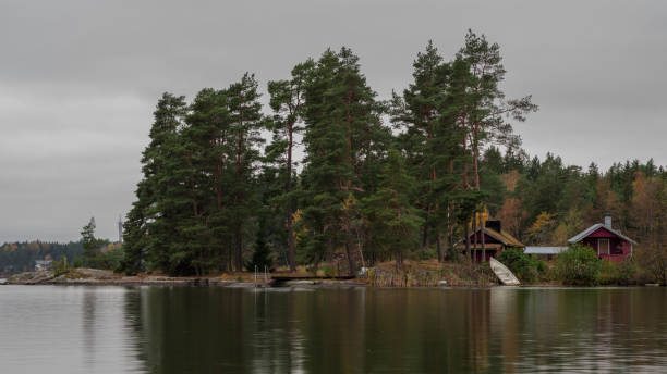 istock Shore house in the forest 1336112513