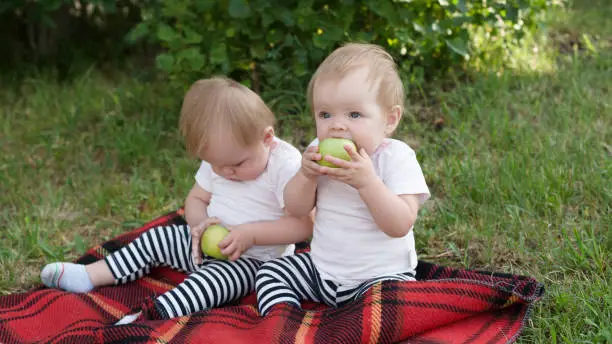 Photo of The offended child refuses to eat with his sister in the park on a blanket holding an apple in his hands