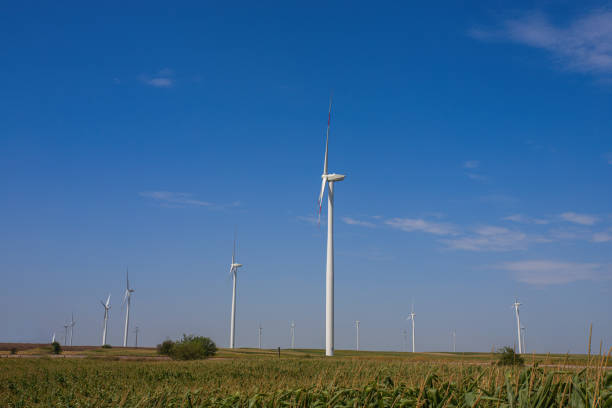 istock Windmills power-Renewable Energy 1336118228