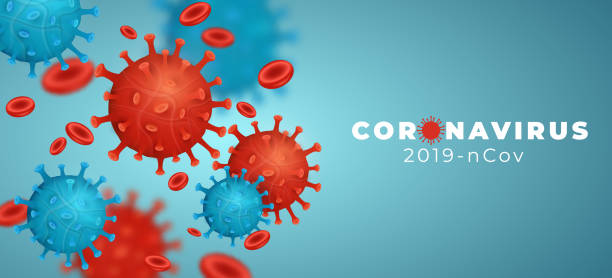 coronavirus 2019-ncov mit krankheitszellen und blutzellen. pathogener organismus. covid-19-epidemie infektionskrankheit. zelluläre infektion. grünes und rotes 3d-virenmodell - model organism stock-grafiken, -clipart, -cartoons und -symbole