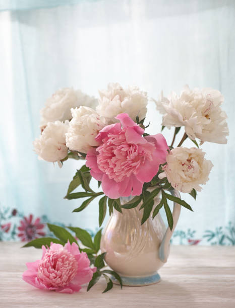 istock Still life with white and pink peonies in a white vase 1336121179
