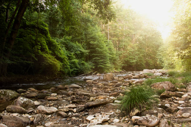 Sun Glow on the Pigeon River in North Carolina