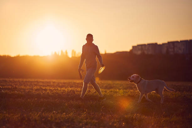 istock Man with dog at beautiful sunset 1336123845