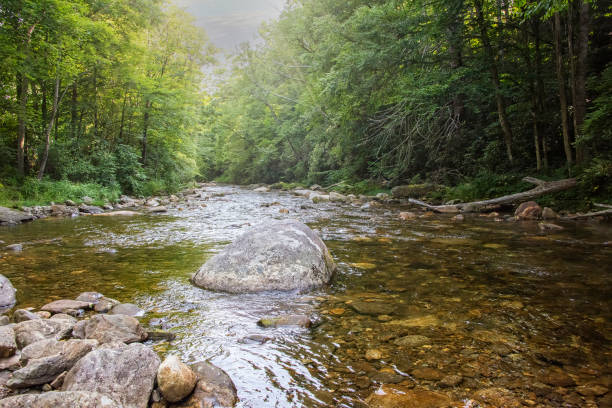 Sun Beams On the Pigeon River, North Carolina