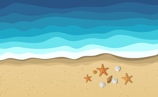 Sea water waves on beach with seashells and starfish