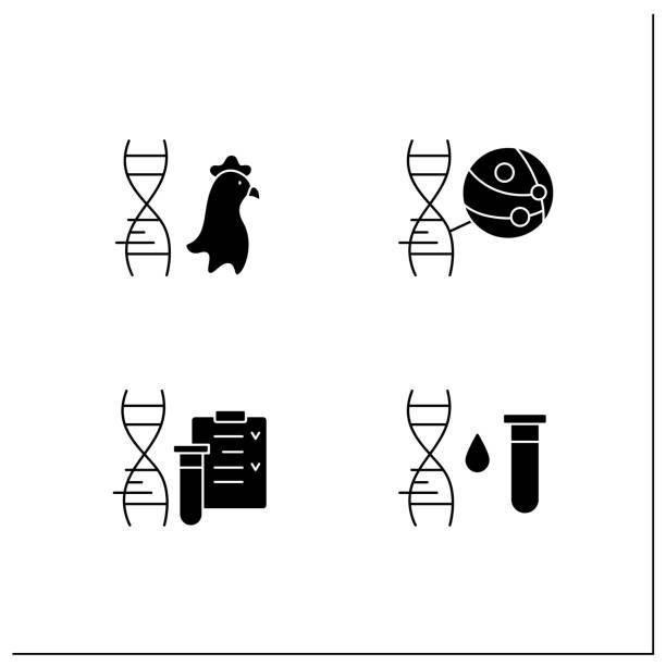ilustraciones, imágenes clip art, dibujos animados e iconos de stock de conjunto de iconos de glifos de organismos modificados genéticamente - genetic modified organism