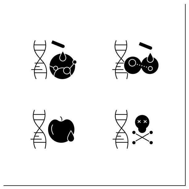 Genetically modified organism glyph icons set Genetically modified organism glyph icons set. Genetic engineering. Mutation gene, transgene. Apple genetic. GMO harm.Filled flat signs. Isolated silhouette vector illustrations genetic modification change improvement science stock illustrations