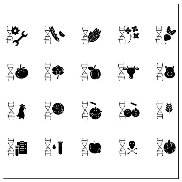 ilustraciones, imágenes clip art, dibujos animados e iconos de stock de conjunto de iconos de glifos de organismos modificados genéticamente - genetic modified organism