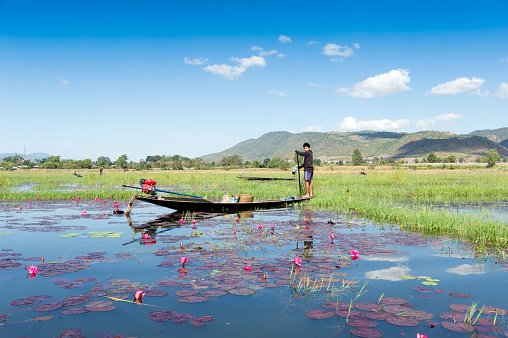 Myanmar. Inle lake. Shan state. Fisherman in a lake