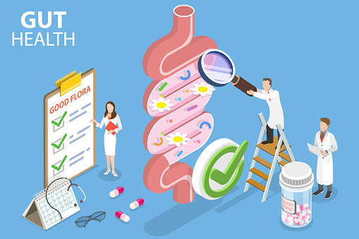 3D Isometric Flat Vector Conceptual Illustration of Gut Health, Healthy Gut Microbiota