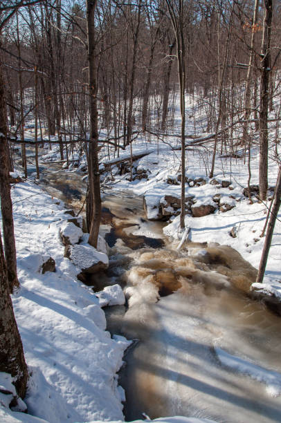 istock Winter wonderland in Aylmer Canada 1336128461