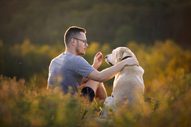 istock Man with dog sitting together on meadow 1336128758