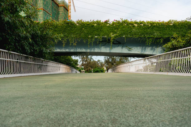 istock Cross the pedestrian bridge under the elevated 1336129361