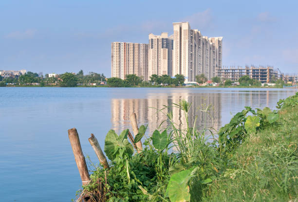 istock Urban development at East Kolkata Wetlands 1336129809