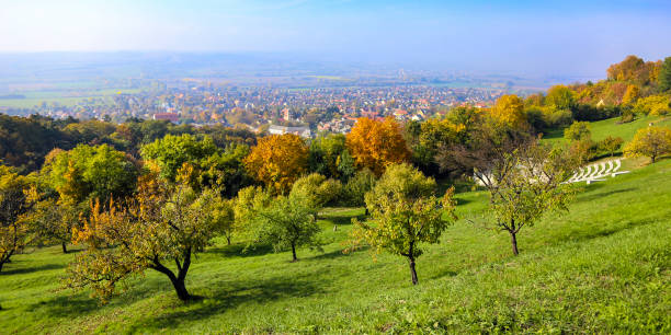 istock Panorama of Pannonhalma 1336131020