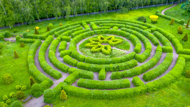 istock Topiary garden in the shape of a labyrinth. 1336131106